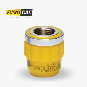 Transición hembra – Fusiogas