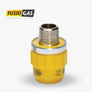 Transición macho- Fusiogas